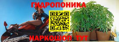 кокс Пенза