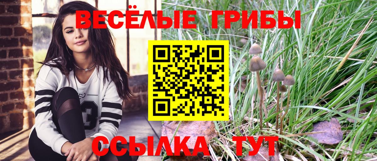 Псилоцибиновые грибы MAGIC MUSHROOMS  Псилоцибиновые грибы GOLDEN TEACHER  Вход с VPN  цены наркотик  Орёл 